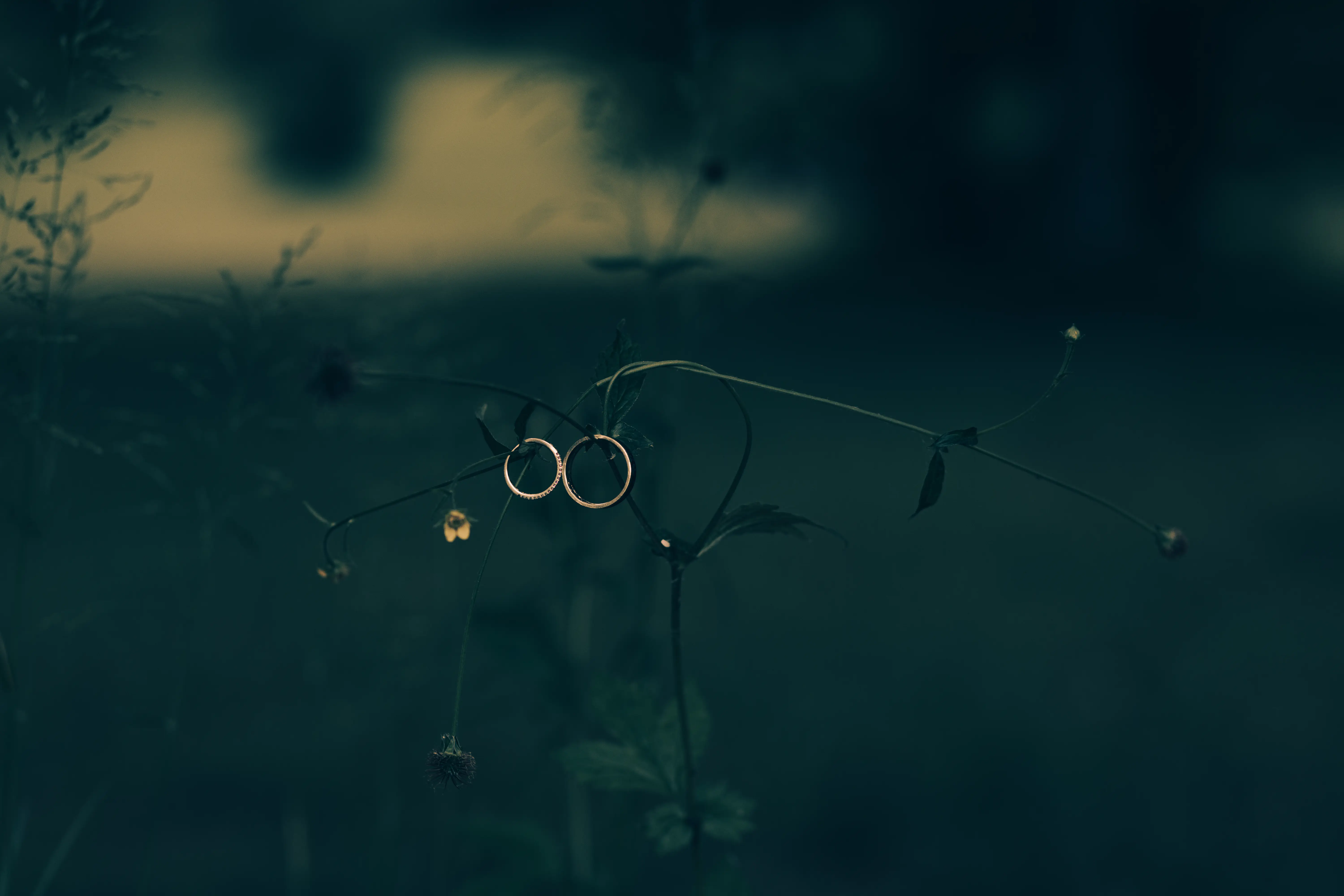 Bawię się fotografią.  Obsługuję całą Polskę! Serdecznie zapraszam Cię do mojego świata którym jest fotografia, z pasją  - Photo 19