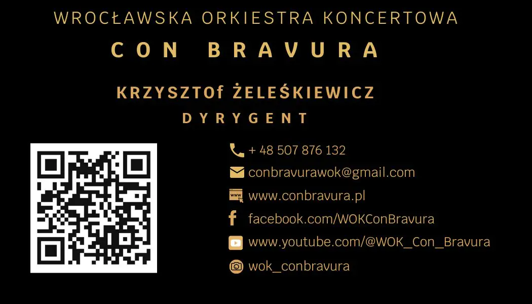 Koncerty orkiestry z solistami. Oprawa eventów , koncerty plenerowe. Imprezy okolicznosciowe