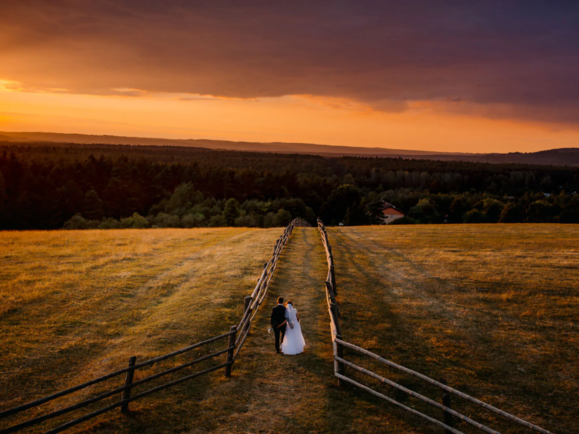 Fotografia dla wymagających -Zatrzymujemy miłość w kadrze – na zawsze